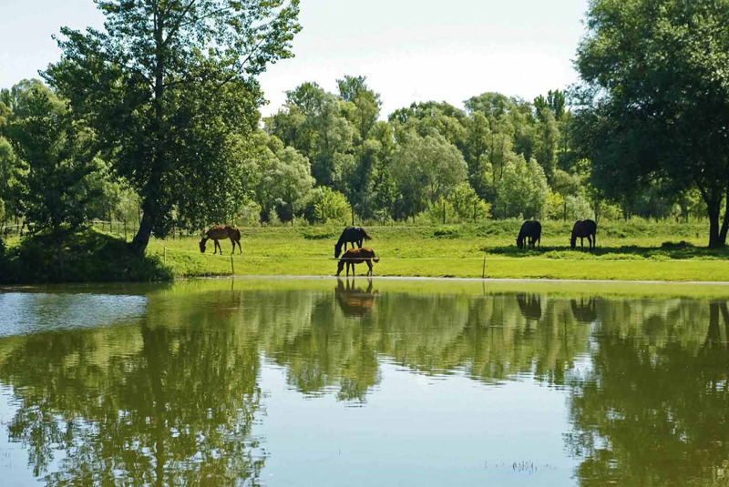 APARTMANI LAPAŽ, Sveti Martin na Muri, Hrvatska – 978 HRK – 2x noćenje s doručkom za 2 osobe, 2x ulaznice za cjelodnevno kupanje u Toplicama Sv. Martin ILI usluge polupansiona za 2 osobe
