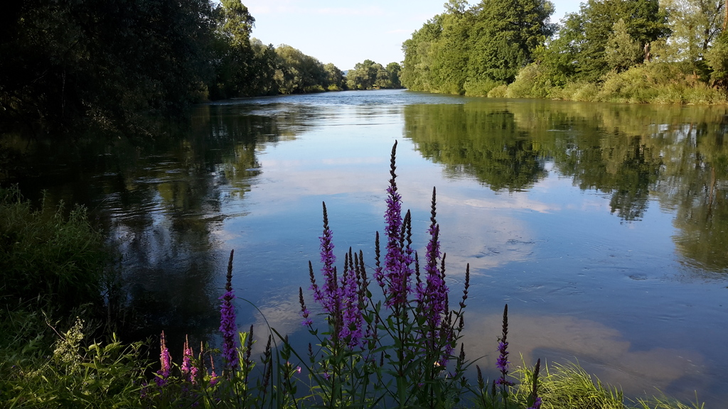 KAMP PODZEMELJ, Podzemelj v Beli krajini, Slovenija – 762 HRK – 2x noćenje u mobilnoj kućici na rijeci Kupi (Kolpa) za 6 osoba (4 odrasle osobe i 2 djece do 12 godina), Dobrodošlica s tradicionalnom belokrajnskom pogačom i pićem