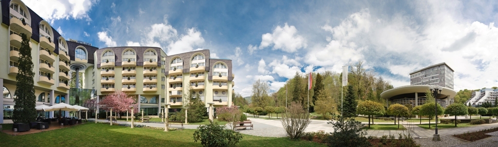 MARTINOVO – GRAND HOTEL SAVA****SUPERIOR, Rogaška Slatina, Slovenija – 1,804 HRK – 2x noćenje u dvokrevetnoj sobi Superior Classic s polupansionom za 2 osobe, 1x svečana Martinova večera u restoranu Kristal (kulturni program folklorne grupe i krštenje mladog vina 12. 11.)