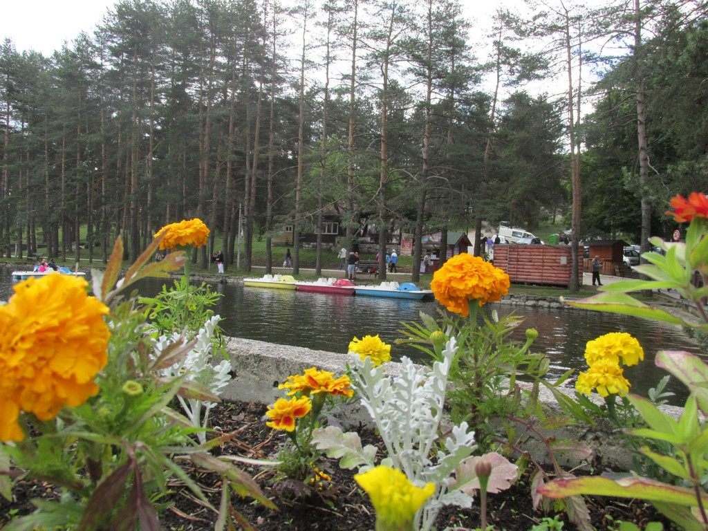 KONOBA AKUSTIK ZLATIBOR, Zlatibor, Srbija – 558 HRK – 2x noćenje u dvokrevetnoj sobi u kući (500m izvan centra) za 2 osobe, 2x polupansion (doručak i večera) u restoranu Konoba akustik Zlatibor za 2 osobe