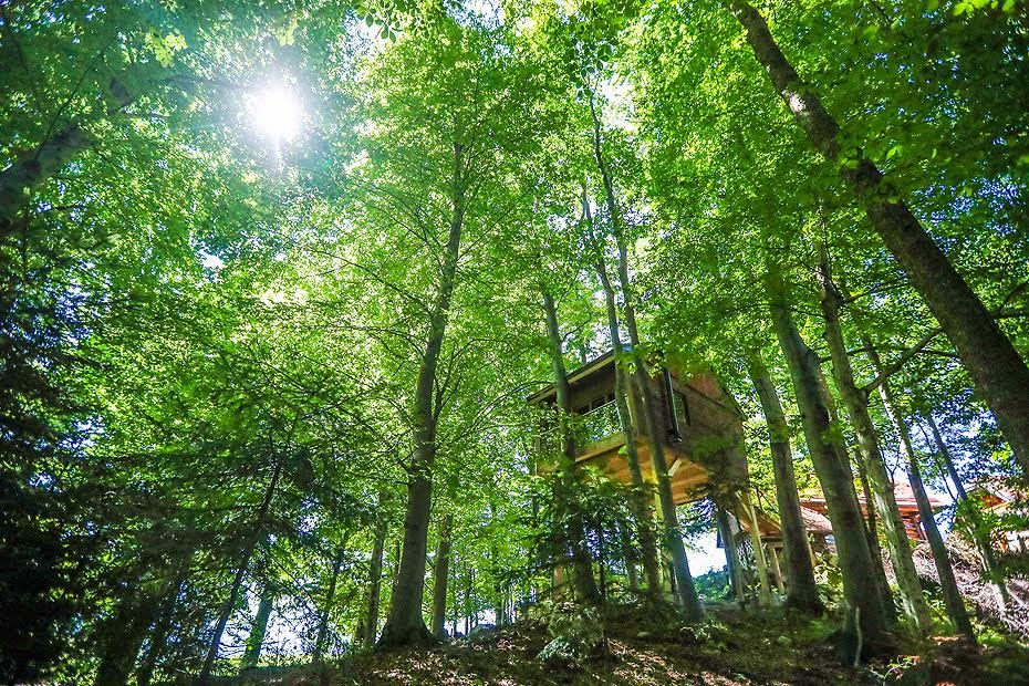EKO KUĆICA NA DRVETU, Šentrupert, Slovenija – 2,468 HRK – 2x noćenje u eko kućici na drvetu za 2 osobe, 2x polupansion za 2 osobe