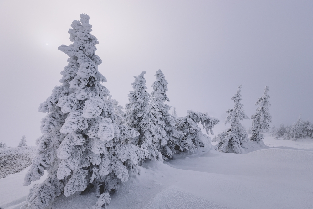 SKIJANJE NA JAHORINI – HOTEL KRISTAL, Jahorina, Bosna i Hercegovina – 2.870 HRK – 6x noćenje za 2 osobe, 6x doručak za 2 osobe