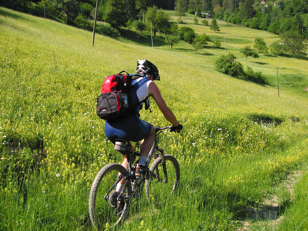 MTB_Pokljuka.jpg_1526465255.jpg